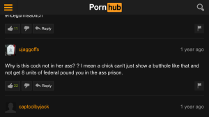  Comment from a porn website